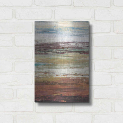 Luxe Metal Art 'Plum Vista I' by Tim O'Toole Metal Wall Art,12x16