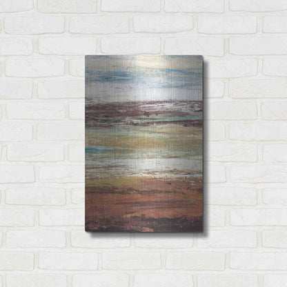Luxe Metal Art 'Plum Vista I' by Tim O'Toole Metal Wall Art,16x24