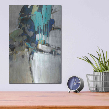 Luxe Metal Art 'Separation I' by Tim O'Toole Metal Wall Art,12x16