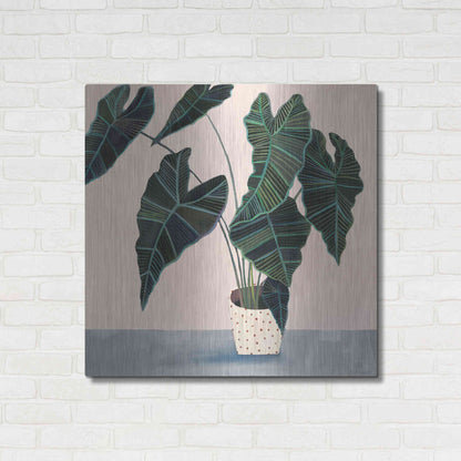 Luxe Metal Art 'Houseplant II' by Victoria Borges Metal Wall Art,36x36