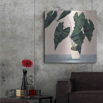 Luxe Metal Art 'Houseplant II' by Victoria Borges Metal Wall Art,36x36