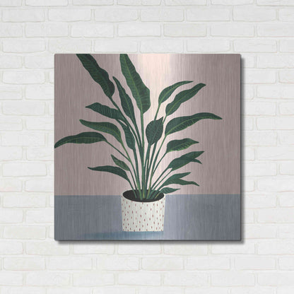 Luxe Metal Art 'Houseplant IV' by Victoria Borges Metal Wall Art,36x36