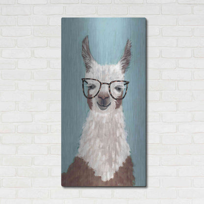 Luxe Metal Art 'Llama Specs I' by Victoria Borges Metal Wall Art,24x48