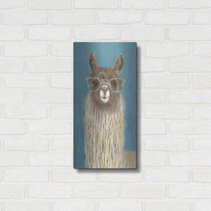 Luxe Metal Art 'Llama Specs IV' by Victoria Borges Metal Wall Art,12x24