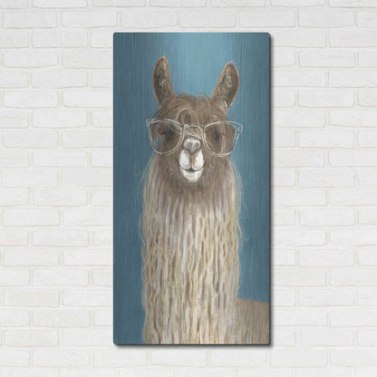 Luxe Metal Art 'Llama Specs IV' by Victoria Borges Metal Wall Art,24x48