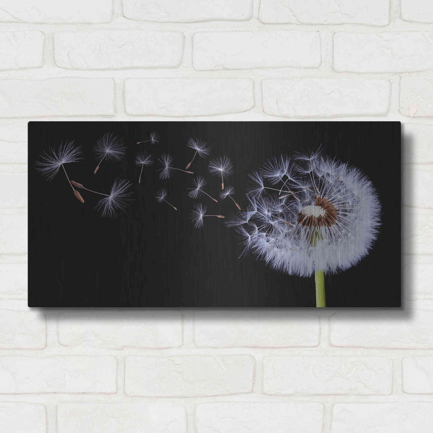 Luxe Metal Art 'Flying Dandelion', Metal Wall Art,24x12