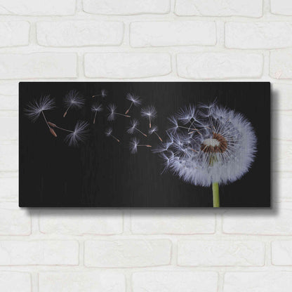 Luxe Metal Art 'Flying Dandelion', Metal Wall Art,24x12