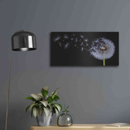 Luxe Metal Art 'Flying Dandelion', Metal Wall Art,24x12