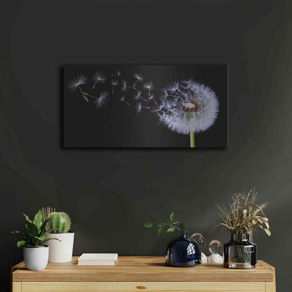 Luxe Metal Art 'Flying Dandelion', Metal Wall Art,24x12