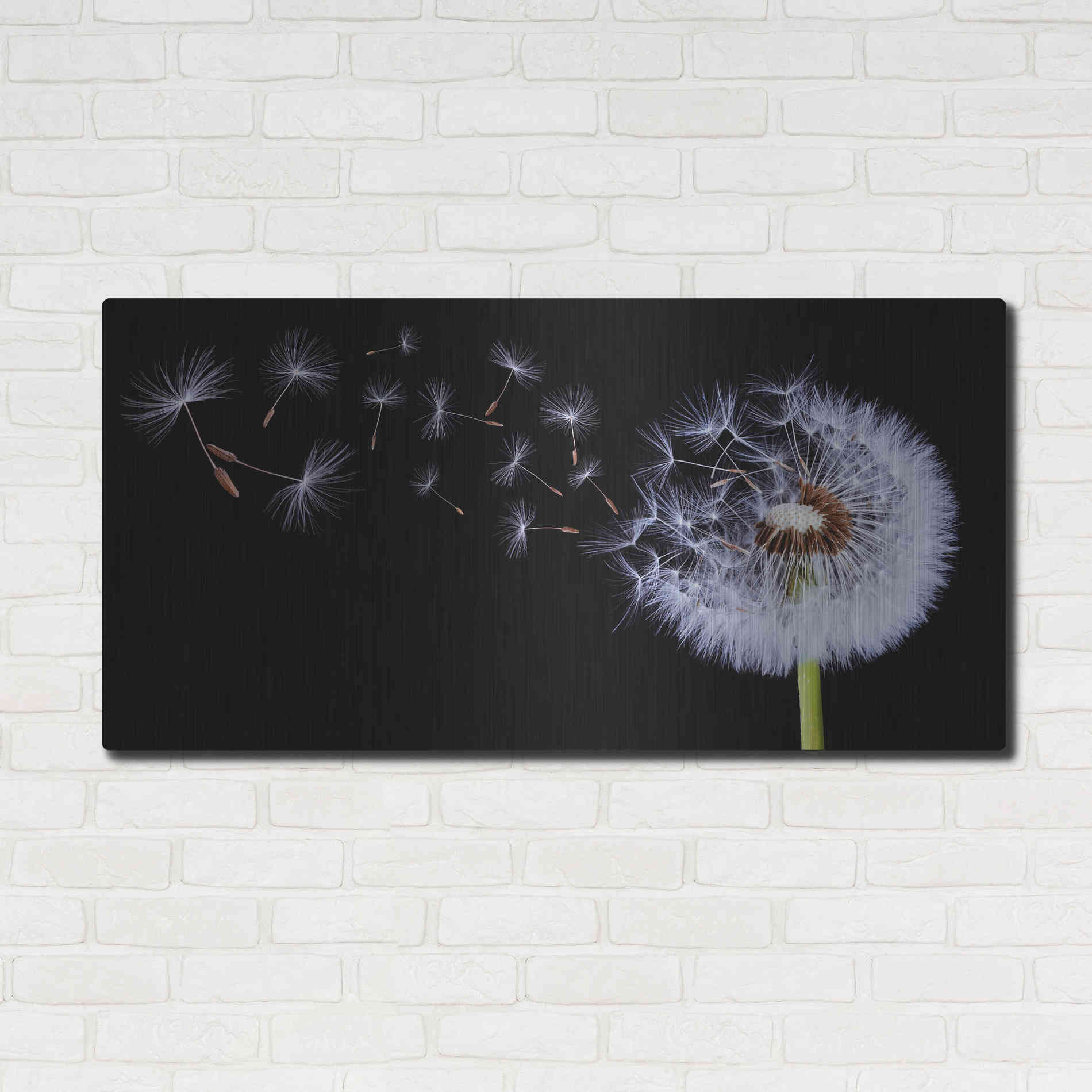 Luxe Metal Art 'Flying Dandelion', Metal Wall Art,48x24