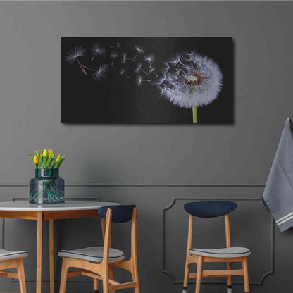 Luxe Metal Art 'Flying Dandelion', Metal Wall Art,48x24