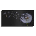 Luxe Metal Art 'Flying Dandelion', Metal Wall Art,2:1 L