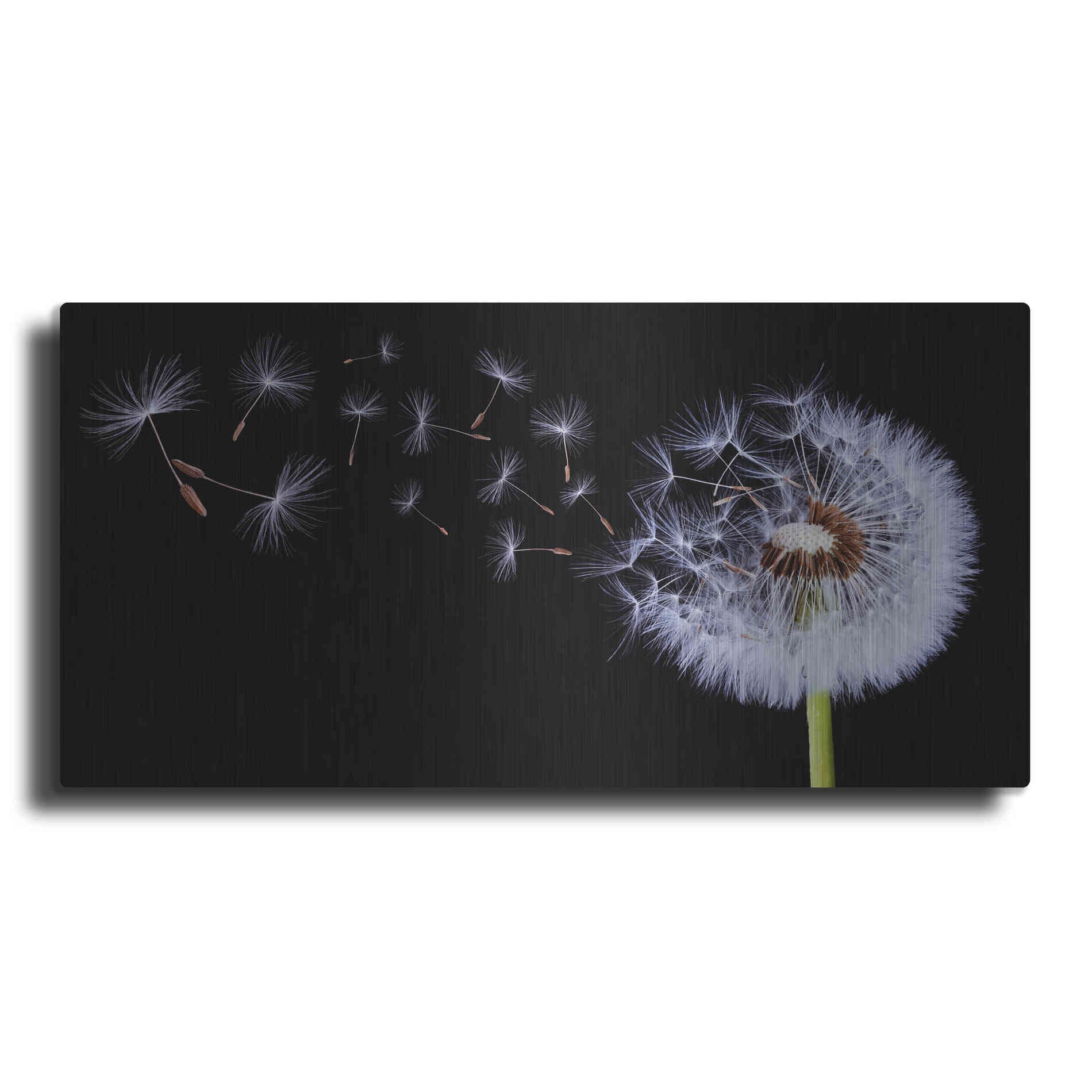 Luxe Metal Art 'Flying Dandelion', Metal Wall Art,2:1 L