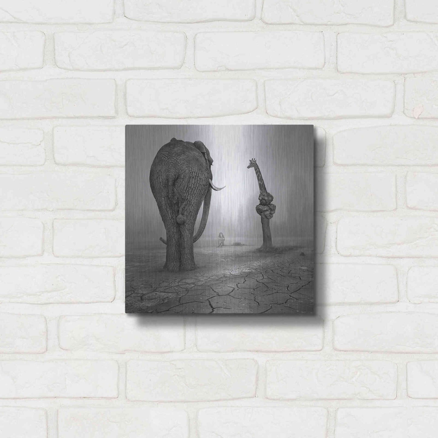 Luxe Metal Art 'Animalia' by Dariusz Klimczak, Metal Wall Art,12x12