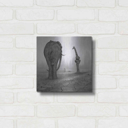 Luxe Metal Art 'Animalia' by Dariusz Klimczak, Metal Wall Art,12x12