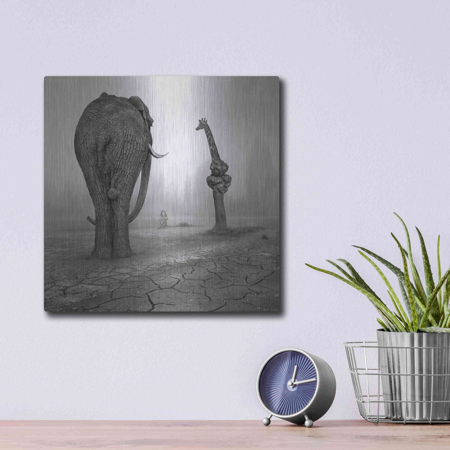 Luxe Metal Art 'Animalia' by Dariusz Klimczak, Metal Wall Art,12x12