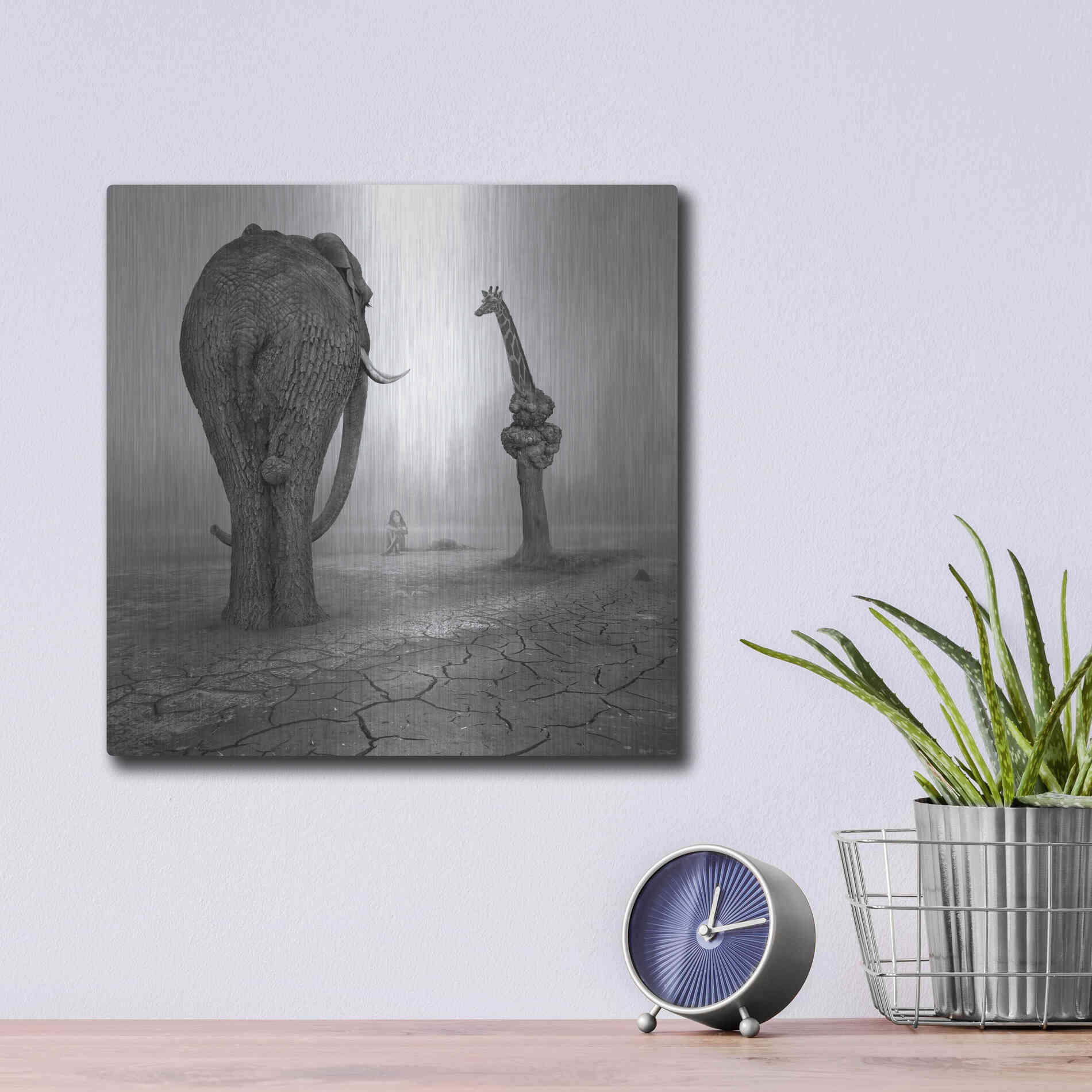 Luxe Metal Art 'Animalia' by Dariusz Klimczak, Metal Wall Art,12x12