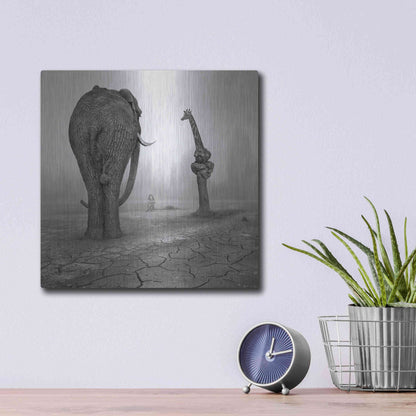 Luxe Metal Art 'Animalia' by Dariusz Klimczak, Metal Wall Art,12x12