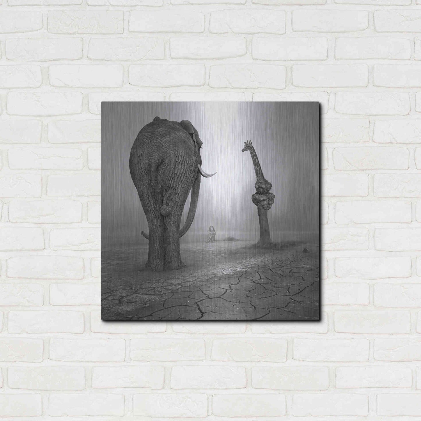 Luxe Metal Art 'Animalia' by Dariusz Klimczak, Metal Wall Art,24x24