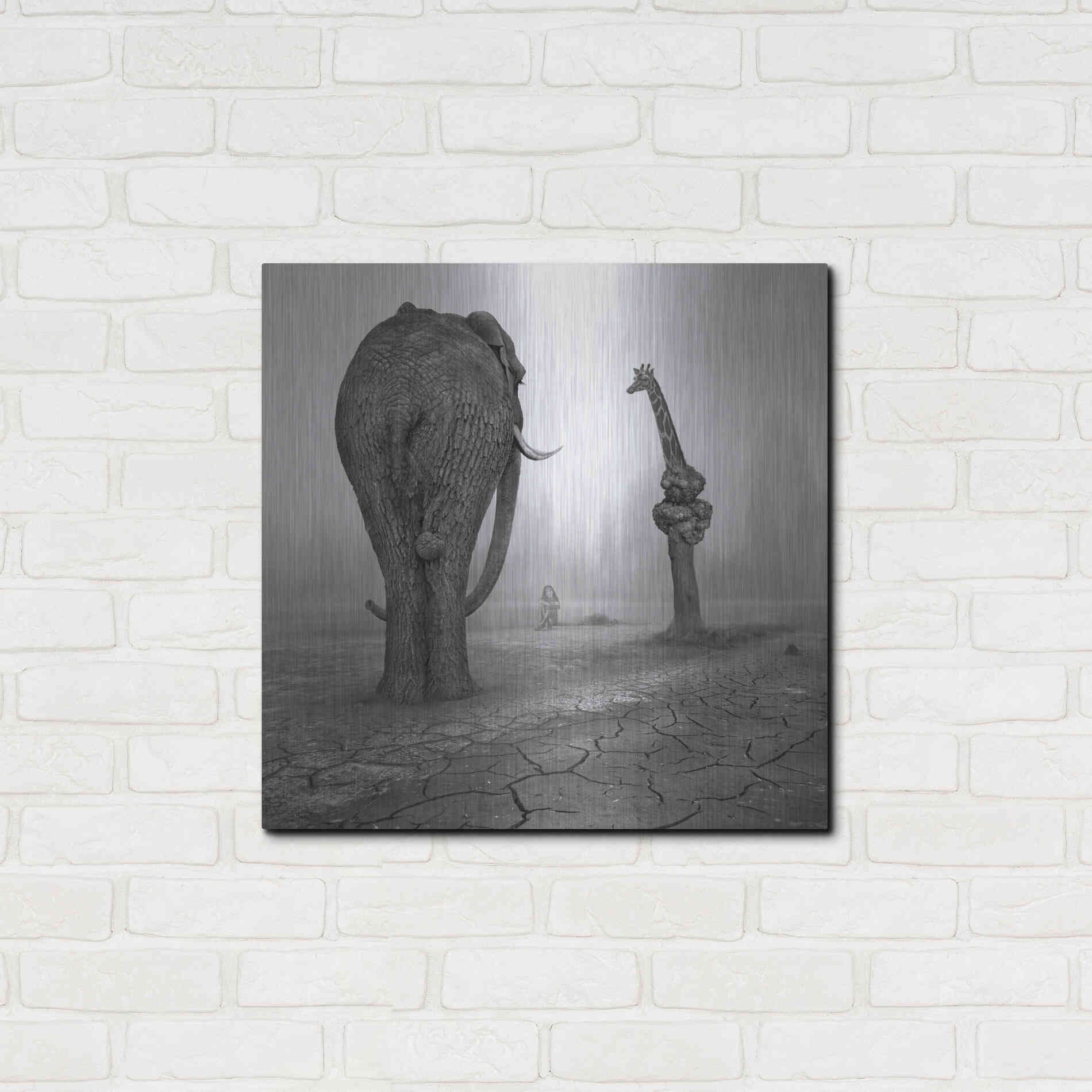 Luxe Metal Art 'Animalia' by Dariusz Klimczak, Metal Wall Art,24x24