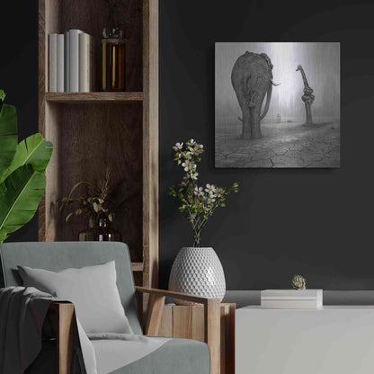 Luxe Metal Art 'Animalia' by Dariusz Klimczak, Metal Wall Art,24x24