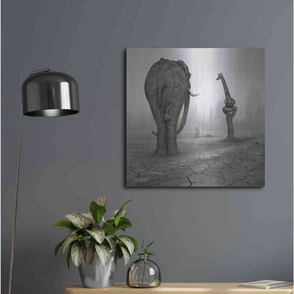 Luxe Metal Art 'Animalia' by Dariusz Klimczak, Metal Wall Art,24x24