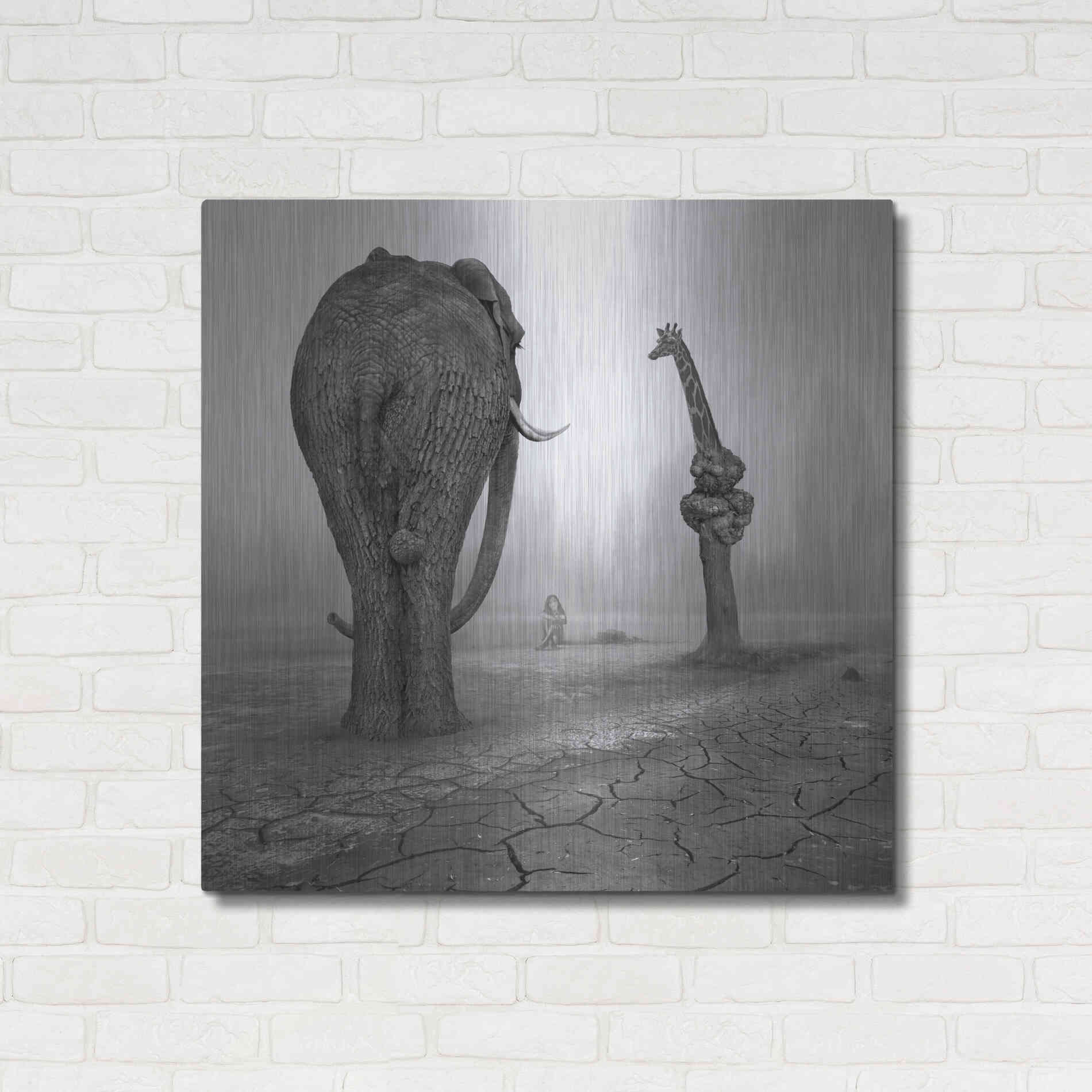 Luxe Metal Art 'Animalia' by Dariusz Klimczak, Metal Wall Art,36x36