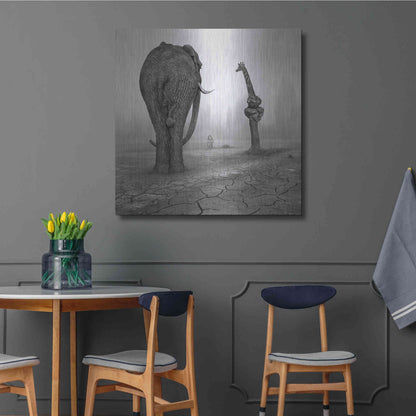 Luxe Metal Art 'Animalia' by Dariusz Klimczak, Metal Wall Art,36x36