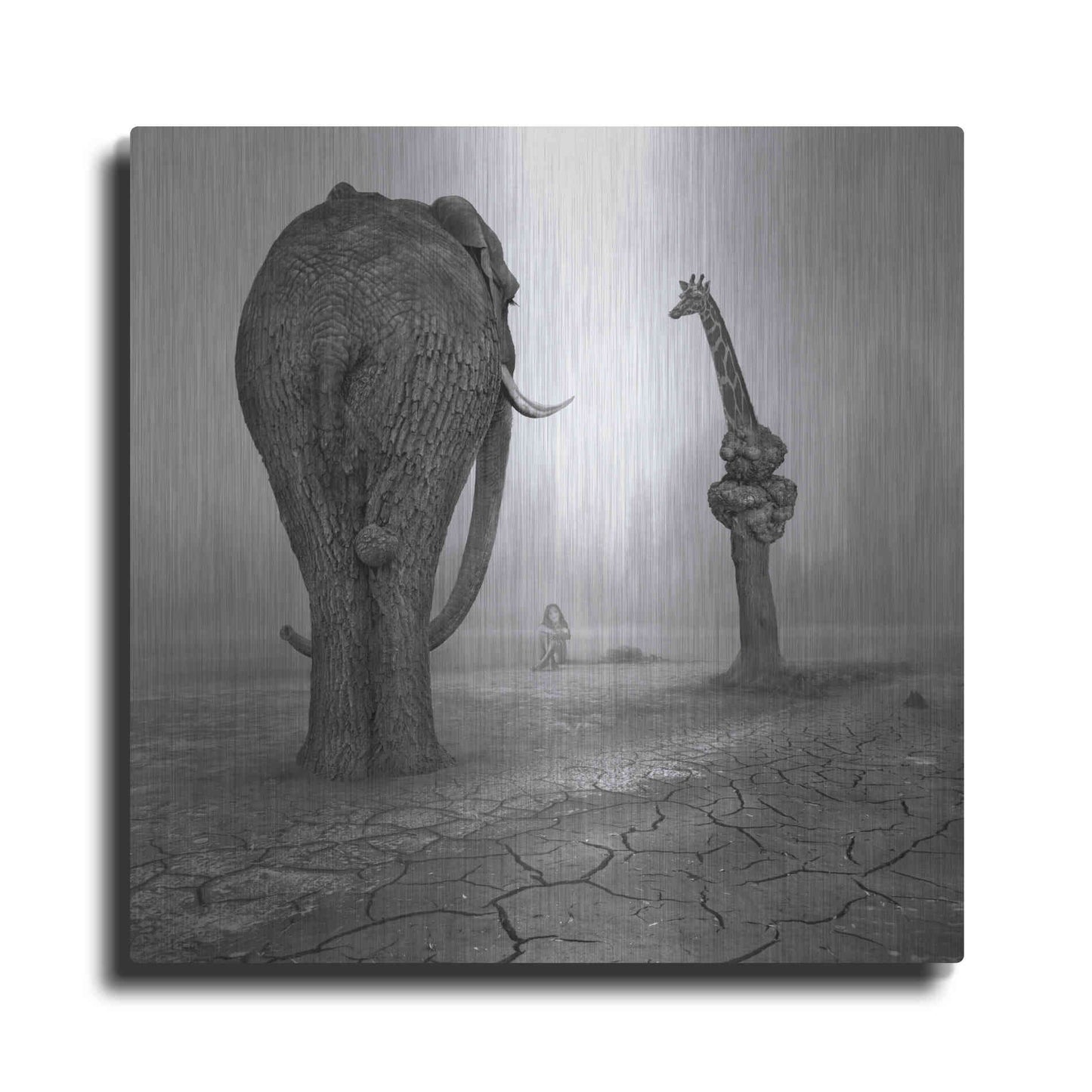 Luxe Metal Art 'Animalia' by Dariusz Klimczak, Metal Wall Art