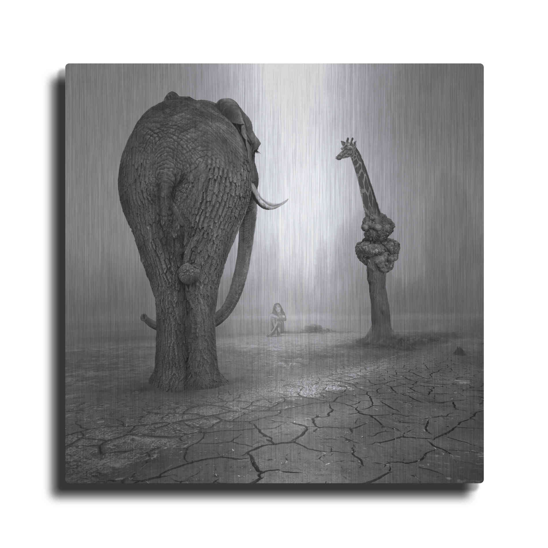 Luxe Metal Art 'Animalia' by Dariusz Klimczak, Metal Wall Art