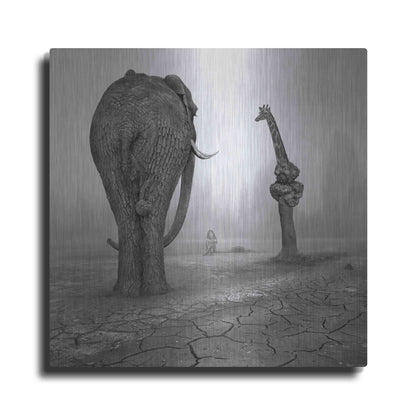 Luxe Metal Art 'Animalia' by Dariusz Klimczak, Metal Wall Art
