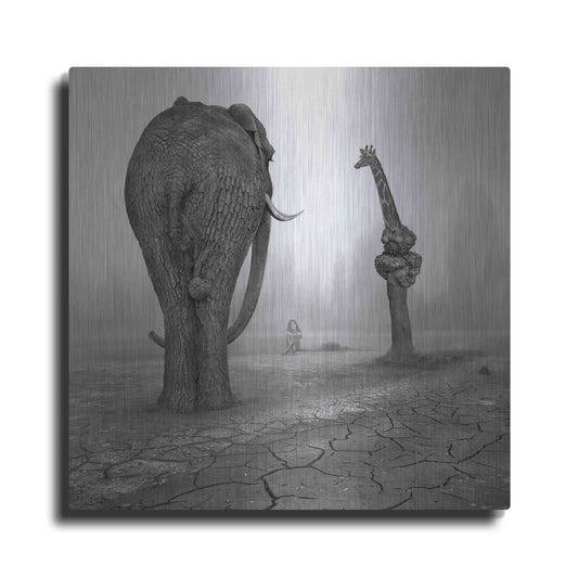 Luxe Metal Art 'Animalia' by Dariusz Klimczak, Metal Wall Art