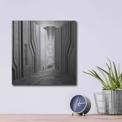 Luxe Metal Art 'Armadillo' by Dariusz Klimczak, Metal Wall Art,12x12