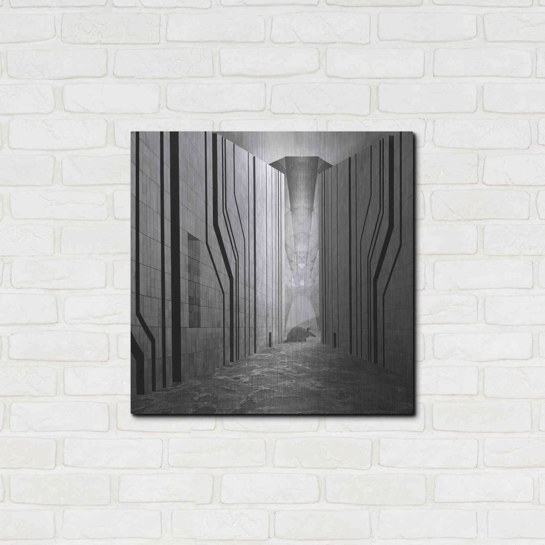 Luxe Metal Art 'Armadillo' by Dariusz Klimczak, Metal Wall Art,24x24