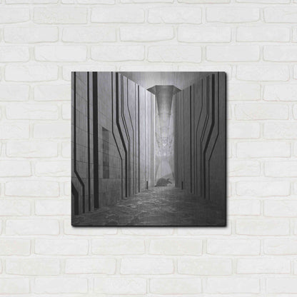 Luxe Metal Art 'Armadillo' by Dariusz Klimczak, Metal Wall Art,24x24