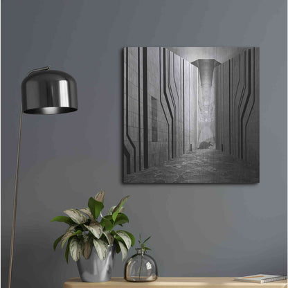 Luxe Metal Art 'Armadillo' by Dariusz Klimczak, Metal Wall Art,24x24