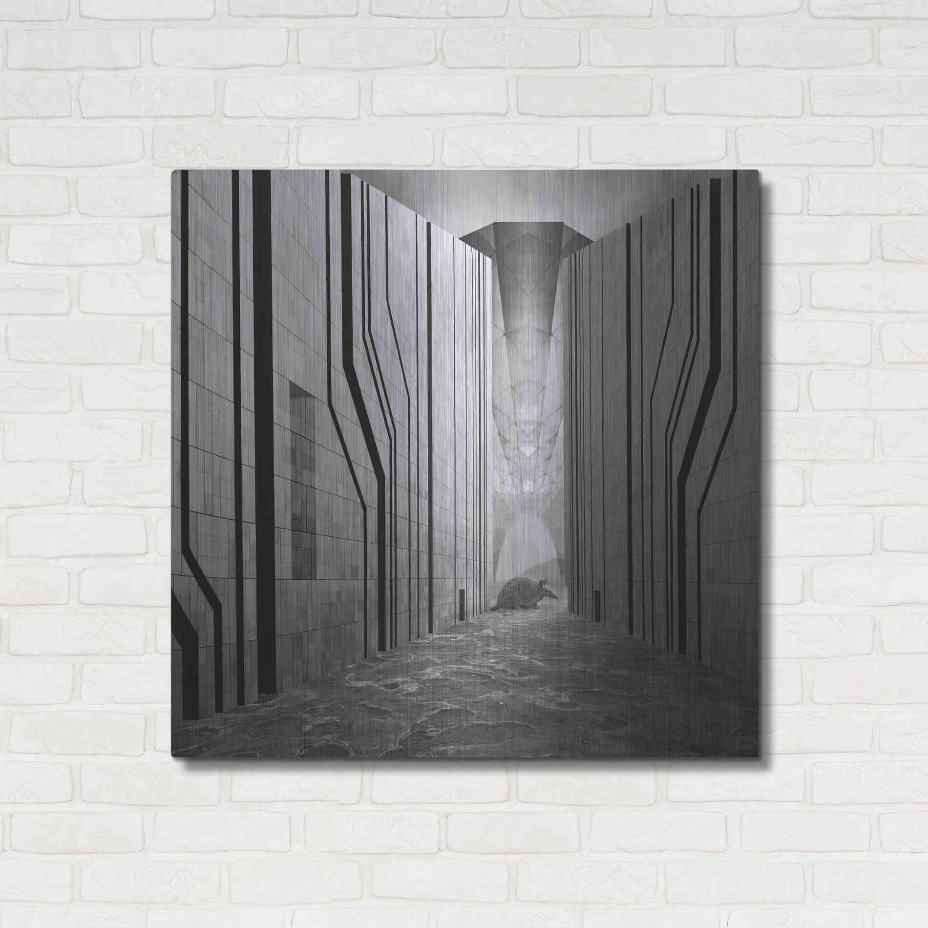 Luxe Metal Art 'Armadillo' by Dariusz Klimczak, Metal Wall Art,36x36