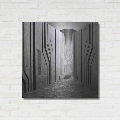 Luxe Metal Art 'Armadillo' by Dariusz Klimczak, Metal Wall Art,36x36