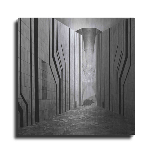 Luxe Metal Art 'Armadillo' by Dariusz Klimczak, Metal Wall Art