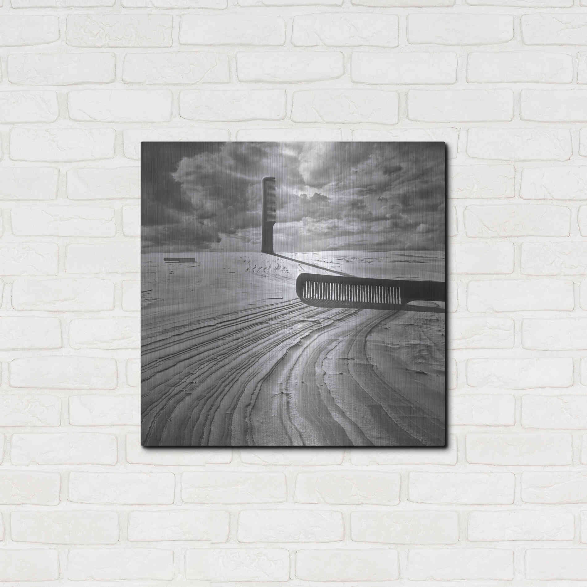 Luxe Metal Art 'Combing the Dunes' by Dariusz Klimczak, Metal Wall Art,24x24