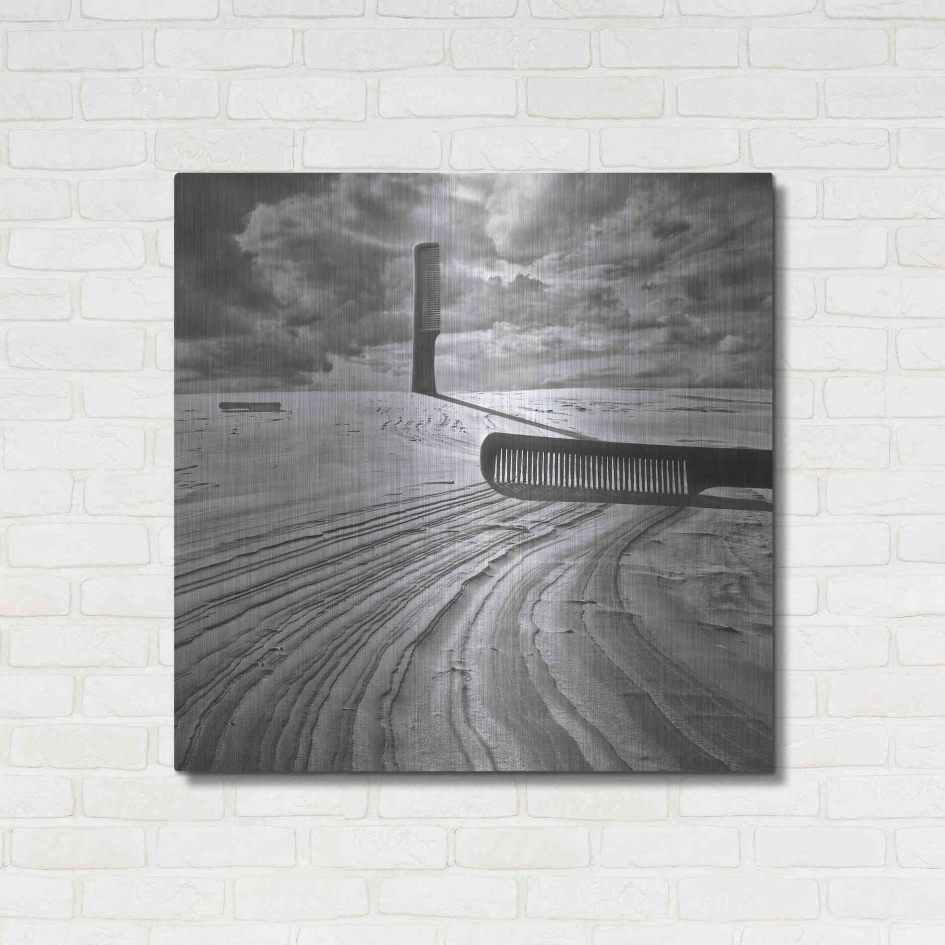 Luxe Metal Art 'Combing the Dunes' by Dariusz Klimczak, Metal Wall Art,36x36