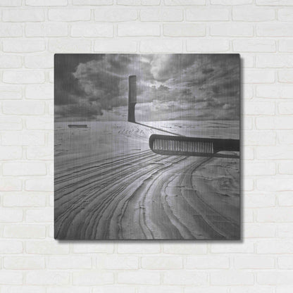 Luxe Metal Art 'Combing the Dunes' by Dariusz Klimczak, Metal Wall Art,36x36