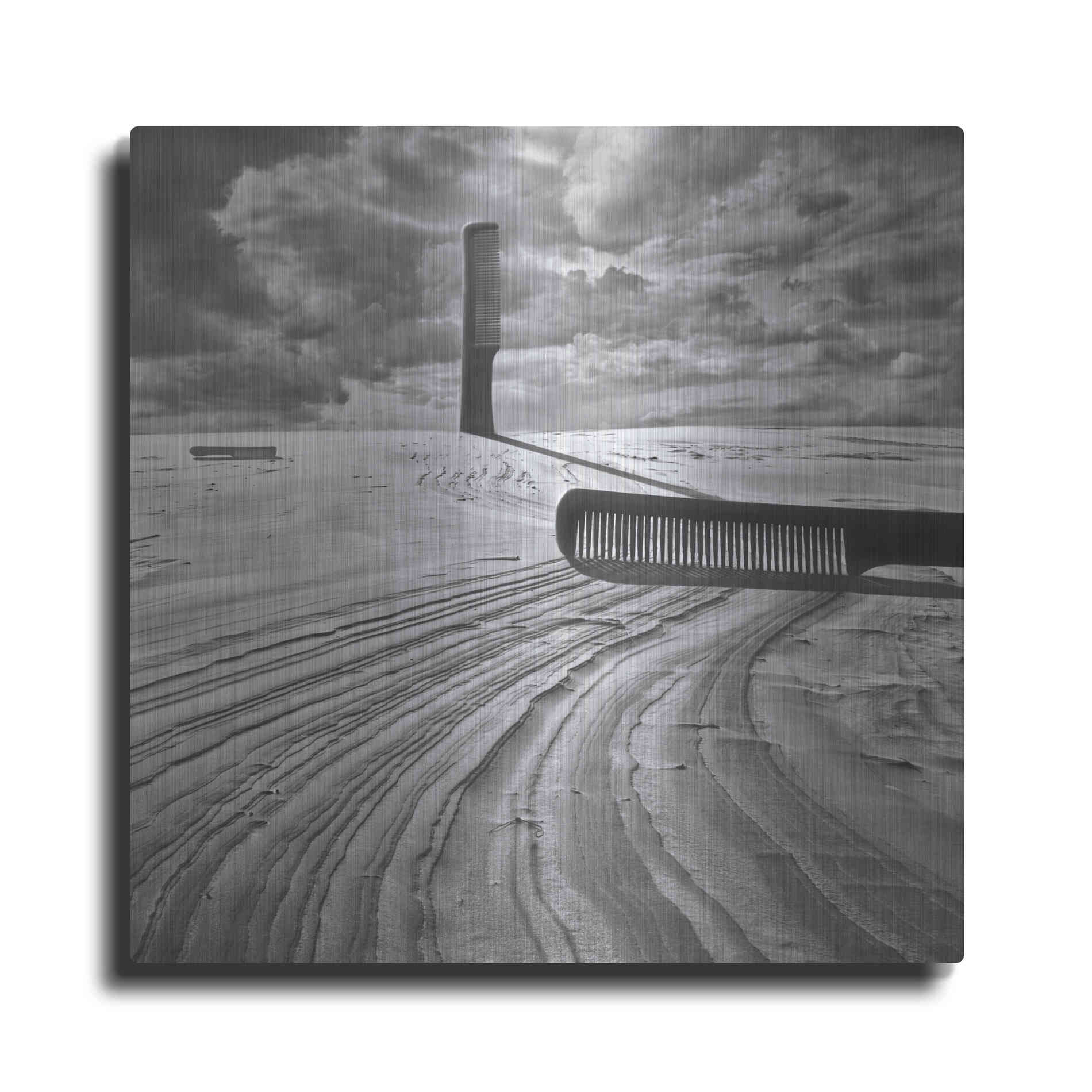 Luxe Metal Art 'Combing the Dunes' by Dariusz Klimczak, Metal Wall Art