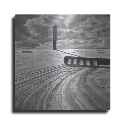 Luxe Metal Art 'Combing the Dunes' by Dariusz Klimczak, Metal Wall Art