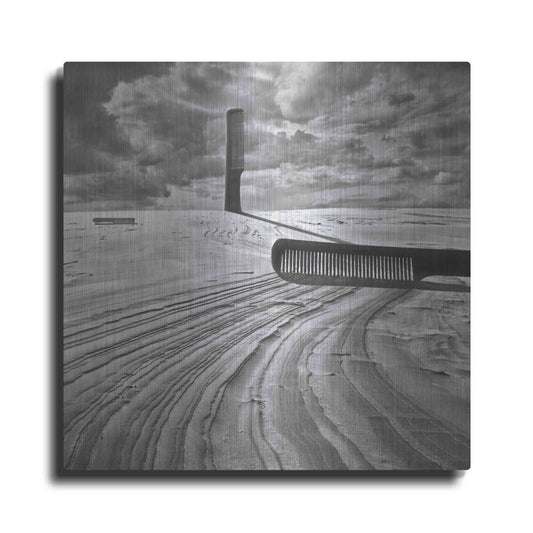 Luxe Metal Art 'Combing the Dunes' by Dariusz Klimczak, Metal Wall Art