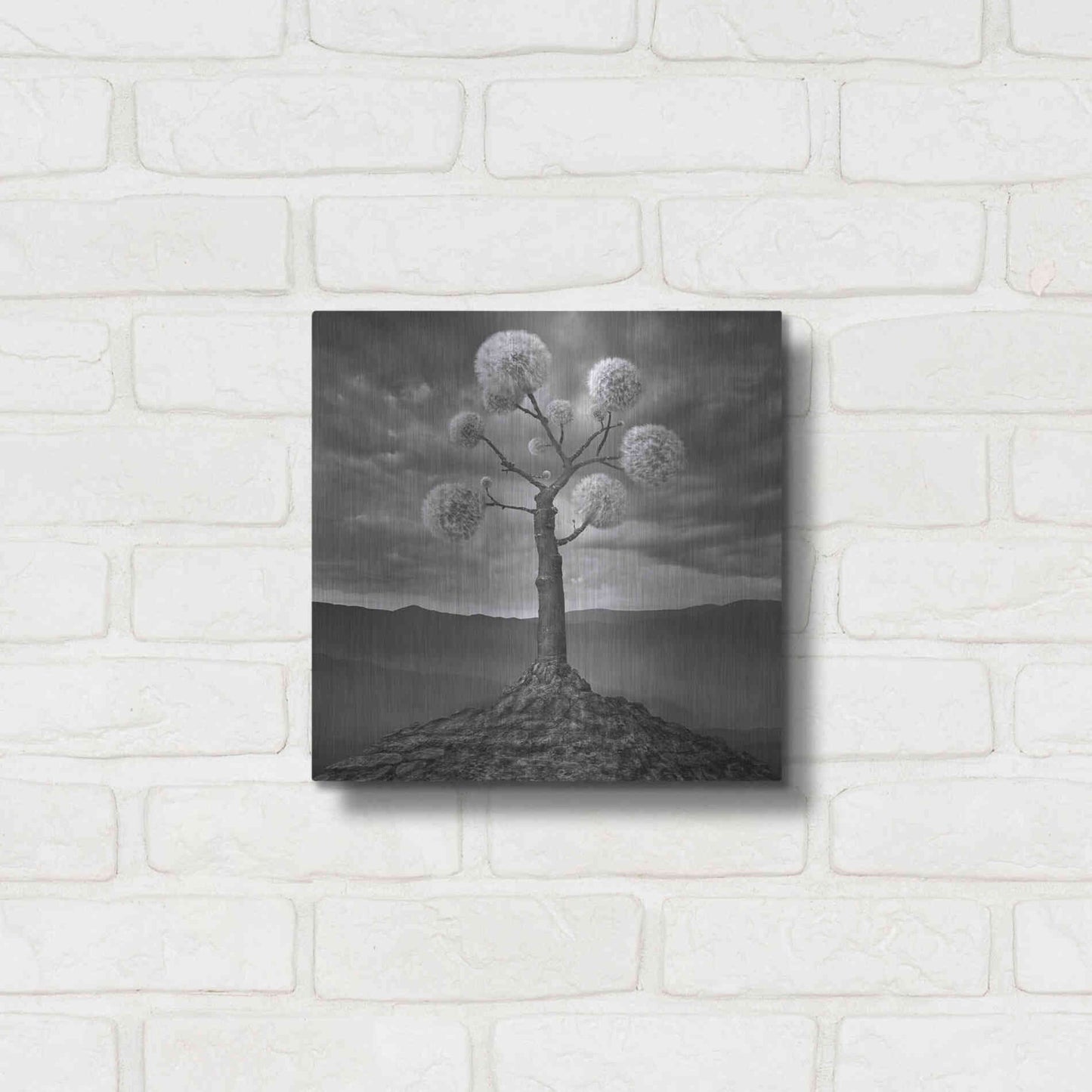 Luxe Metal Art 'Dandelion' by Dariusz Klimczak, Metal Wall Art,12x12