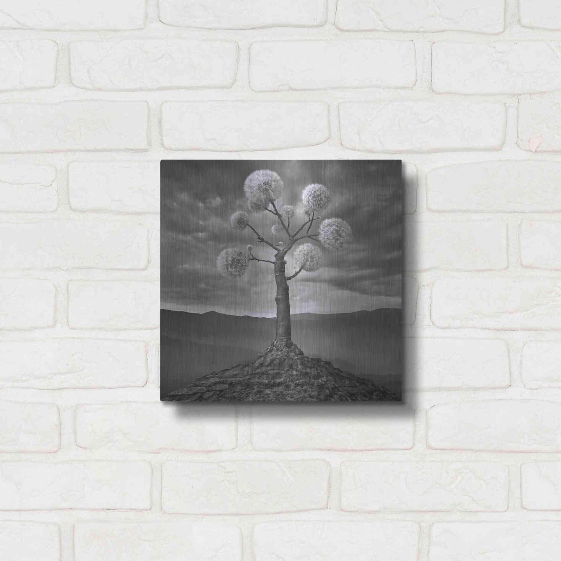 Luxe Metal Art 'Dandelion' by Dariusz Klimczak, Metal Wall Art,12x12