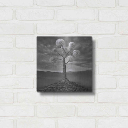 Luxe Metal Art 'Dandelion' by Dariusz Klimczak, Metal Wall Art,12x12