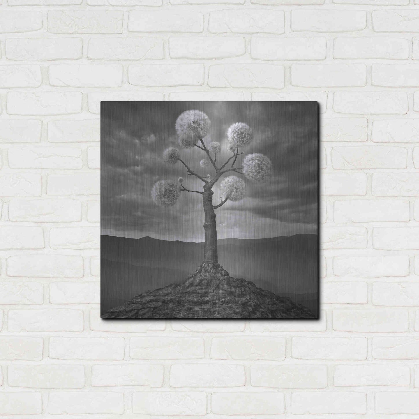 Luxe Metal Art 'Dandelion' by Dariusz Klimczak, Metal Wall Art,24x24