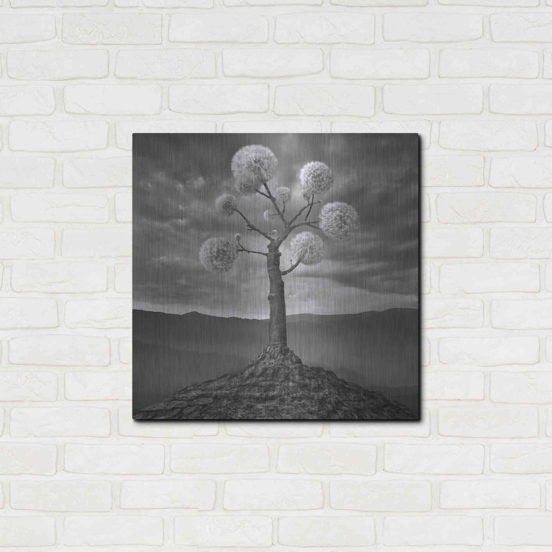 Luxe Metal Art 'Dandelion' by Dariusz Klimczak, Metal Wall Art,24x24